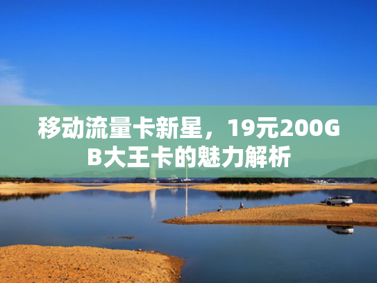 移动流量卡新星，19元200GB大王卡的魅力解析