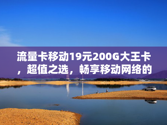 流量卡移动19元200G大王卡，超值之选，畅享移动网络的无限魅力